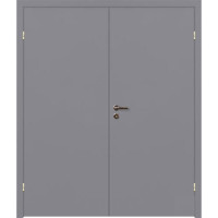 Дверь межкомнатная двухстворчатая, гладкая, крашеное, цвет серый