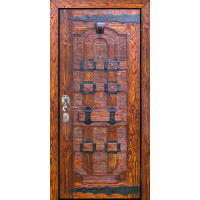 Железная дверь под старину Баус